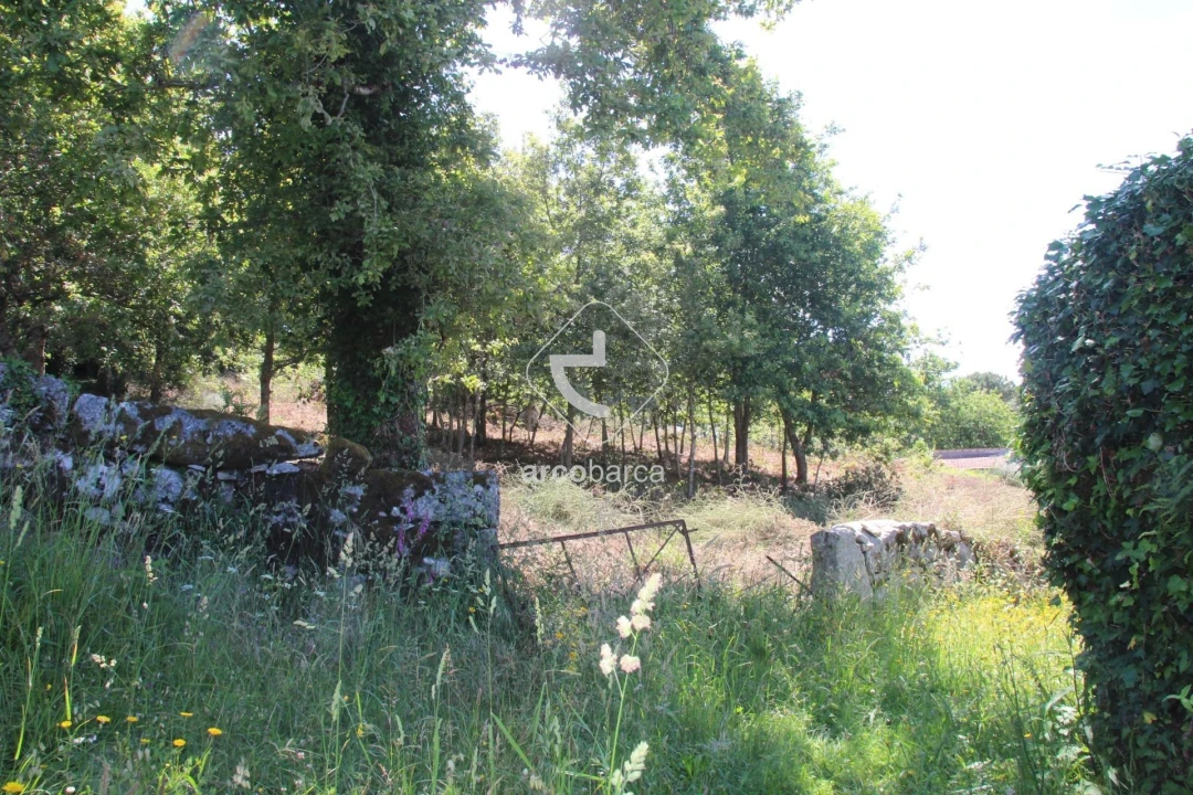 Terreno para Venda em Formariz e Ferreira Foto 32