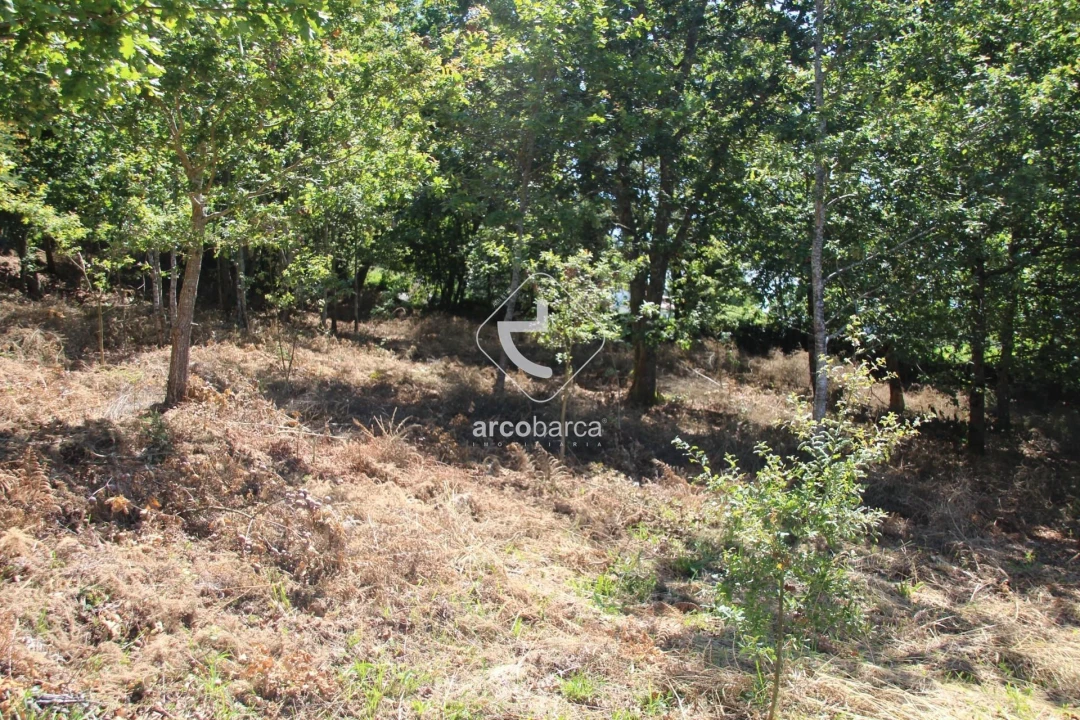 Terreno para Venda em Formariz e Ferreira Foto 33