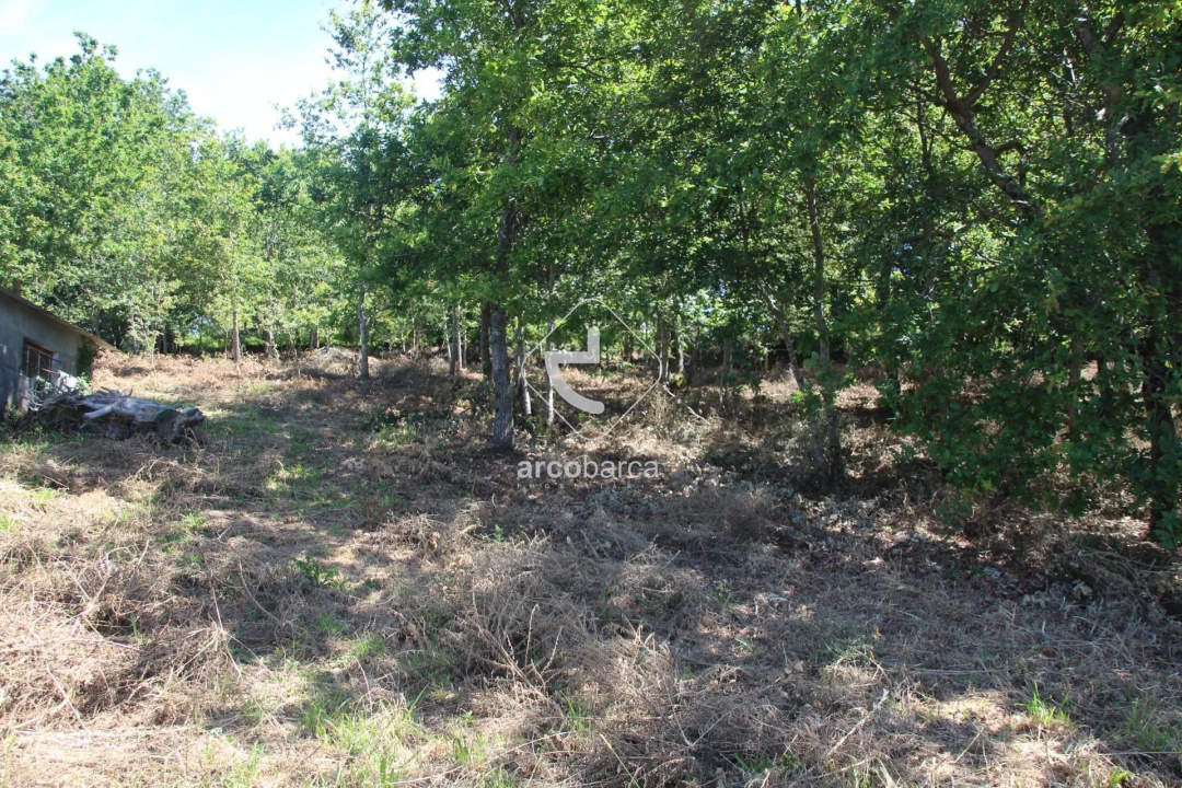 Terreno para Venda em Formariz e Ferreira Foto 12