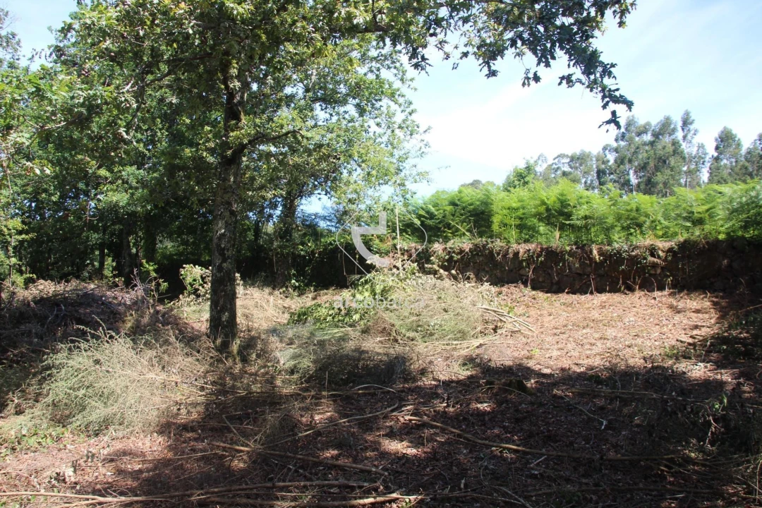 Terreno para Venda em Formariz e Ferreira Foto 38