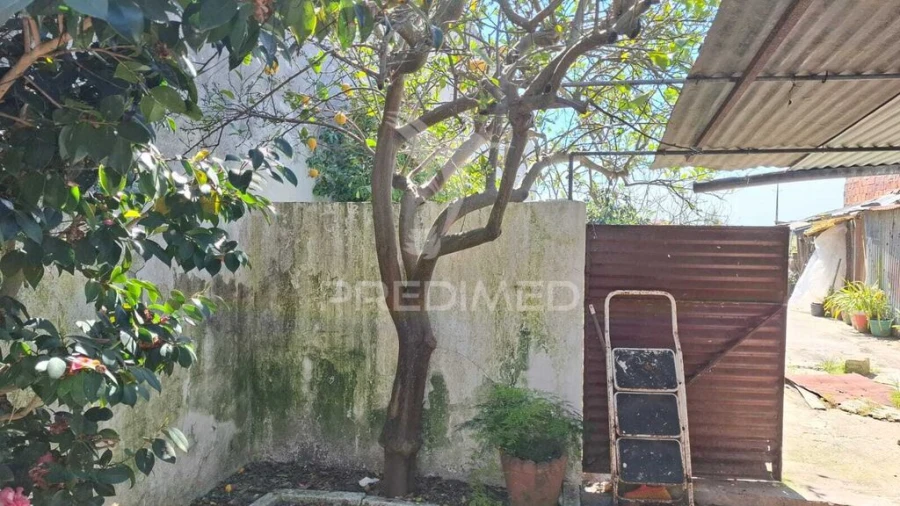 Moradia T2 para Venda em Alpiarça Foto 8