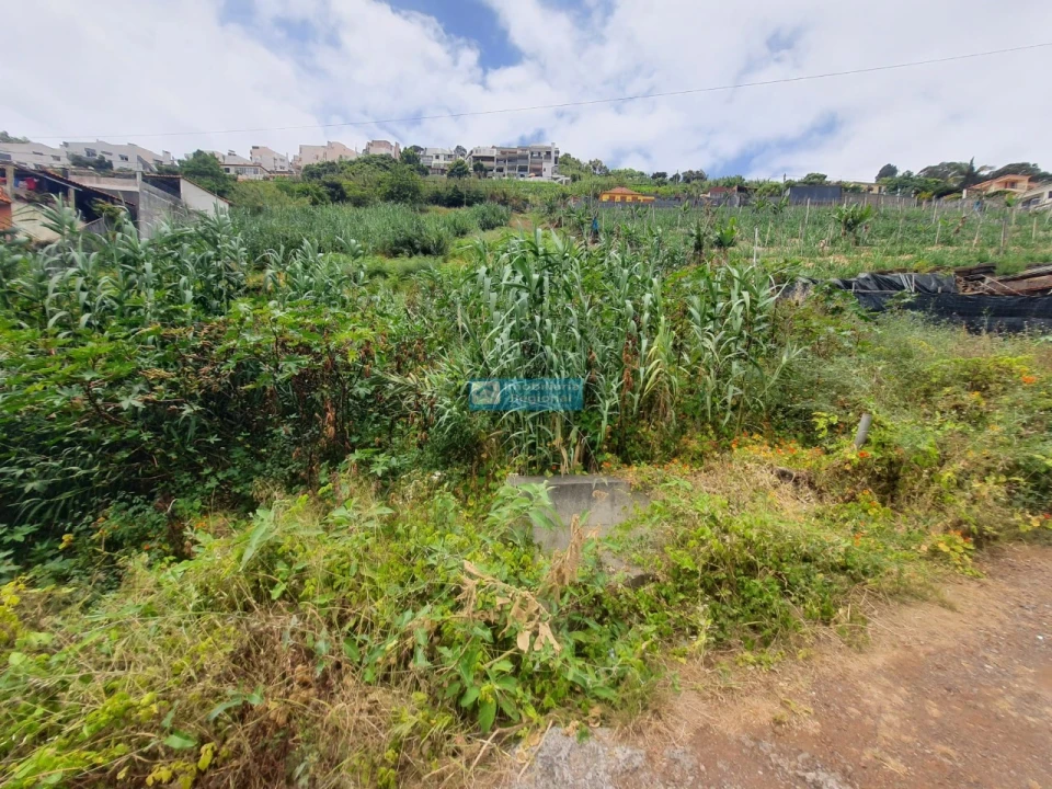 Terreno para Venda em Santo Antonio Foto 4