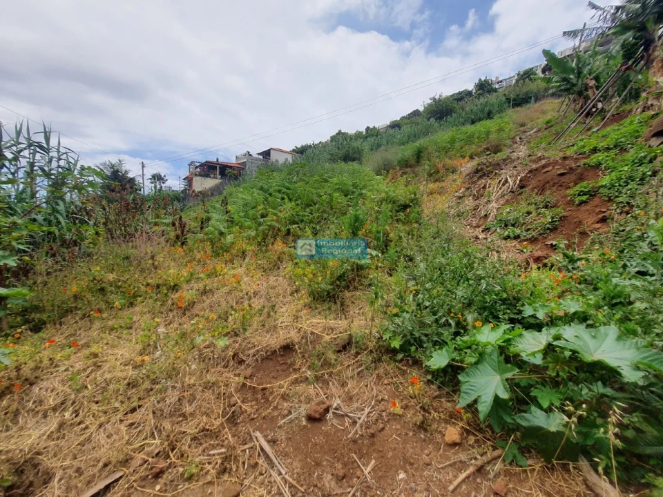 Terreno para Venda em Santo Antonio Foto 6