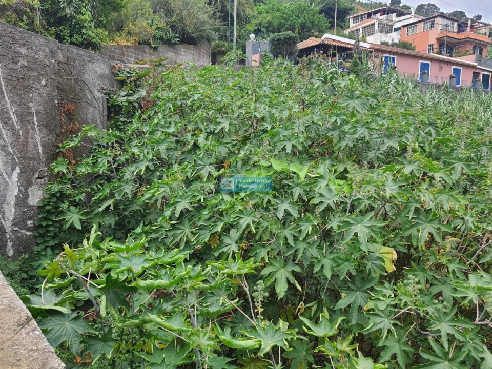 Terreno para Venda em Santo Antonio Foto 11