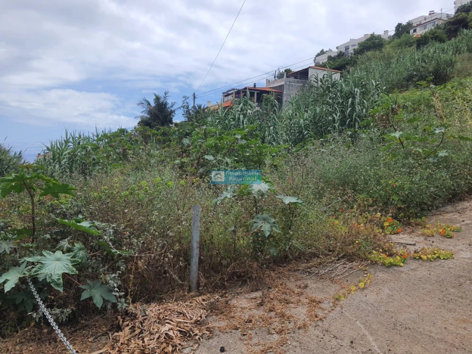 Terreno para Venda em Santo Antonio Foto 7