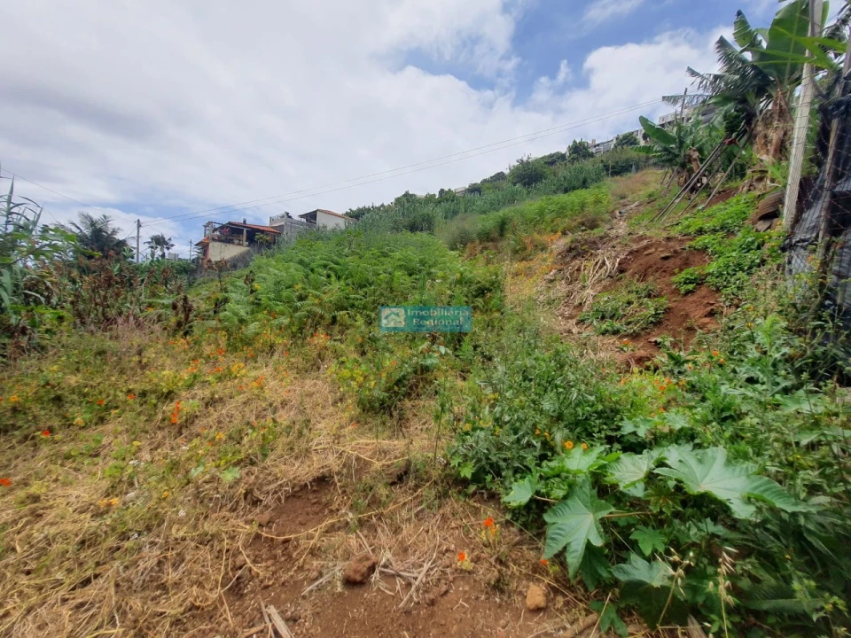 Terreno para Venda em Santo Antonio Foto 2