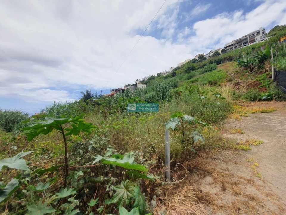 Terreno para Venda em Santo Antonio Foto 9