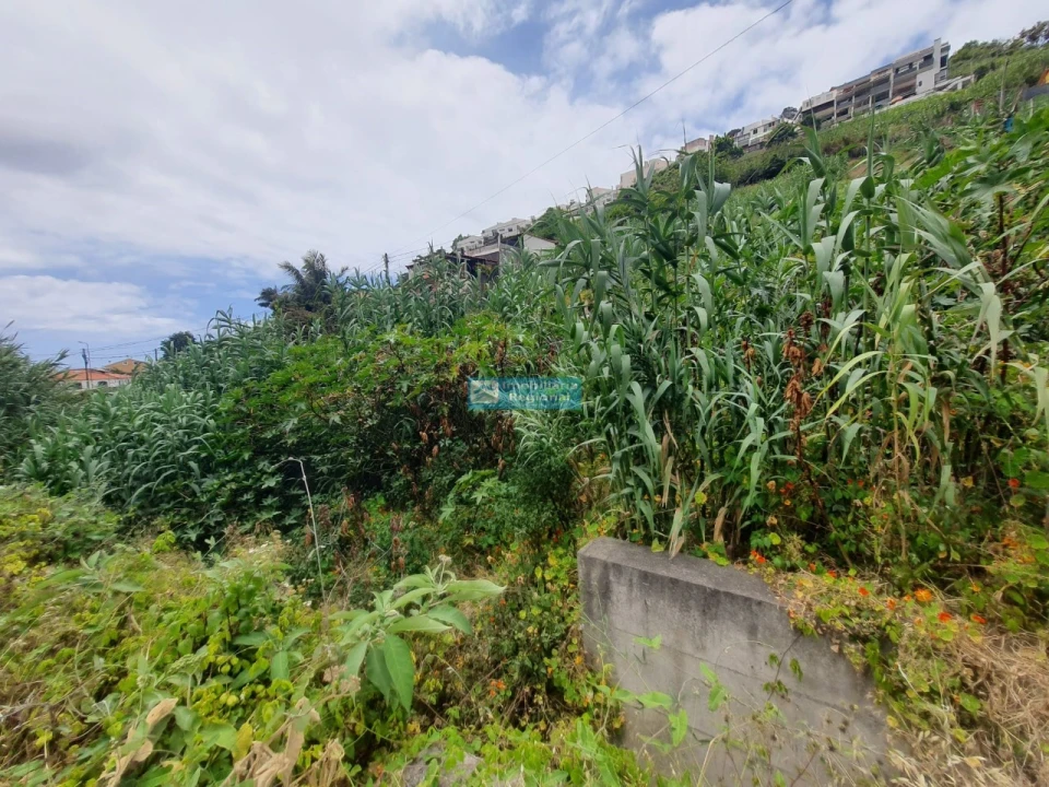 Terreno para Venda em Santo Antonio Foto 3