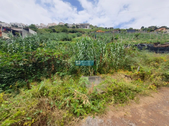Terreno para Venda em Santo Antonio Foto 4