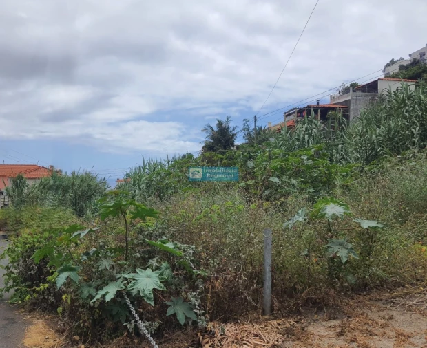 Terreno para Venda em Santo Antonio Foto 8