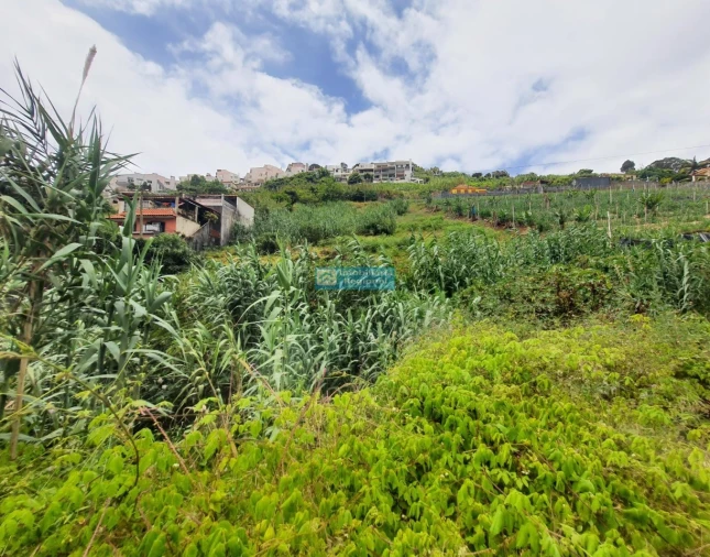 Terreno para Venda em Santo Antonio Foto 5