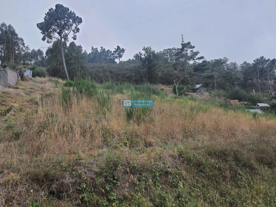 Terreno para Venda em Camacha Foto 2