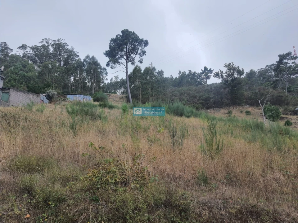 Terreno para Venda em Camacha Foto 3