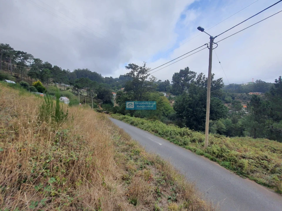 Terreno para Venda em Camacha Foto 4