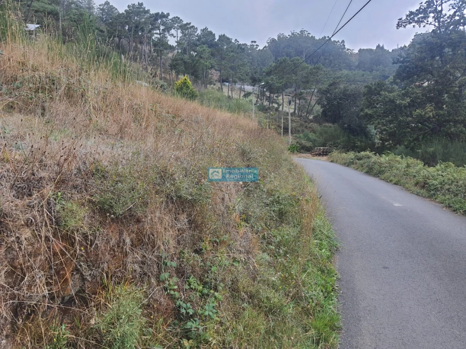 Terreno para Venda em Camacha Foto 9