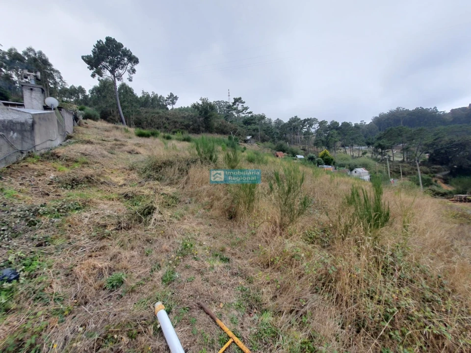 Terreno para Venda em Camacha Foto 10