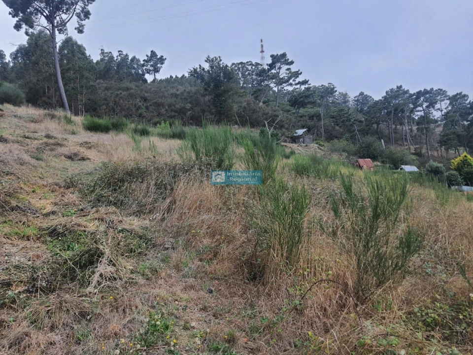 Terreno para Venda em Camacha Foto 13