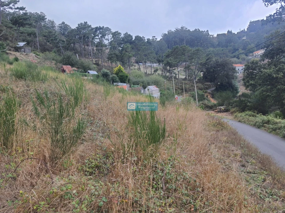 Terreno para Venda em Camacha Foto 14