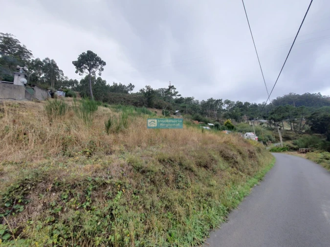 Terreno para Venda em Camacha