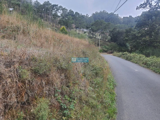 Terreno para Venda em Camacha Foto 9