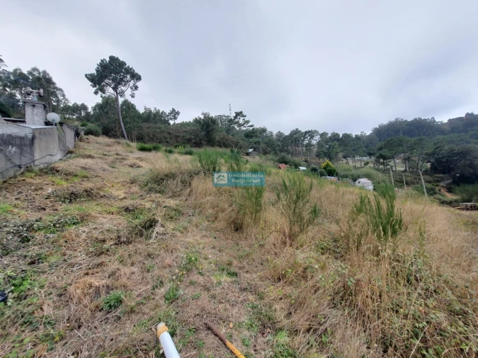 Terreno para Venda em Camacha Foto 12