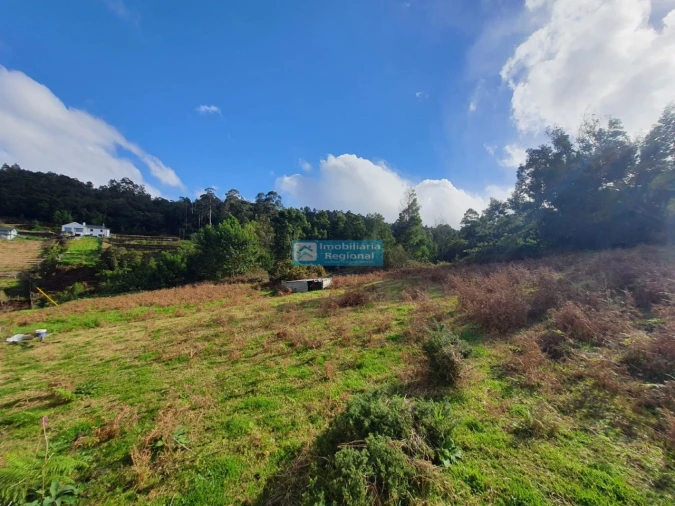 Terreno para Venda em Santana Foto 2