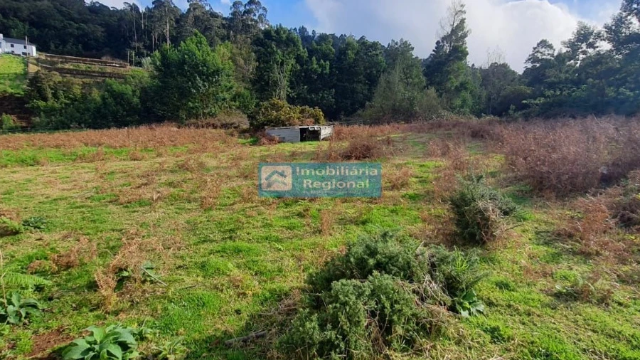 Terreno para Venda em Santana