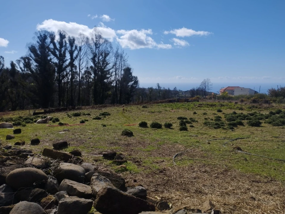 Terreno para Venda em Fajã da Ovelha Foto 10