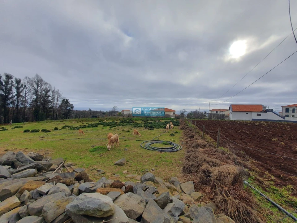 Terreno para Venda em Fajã da Ovelha Foto 7