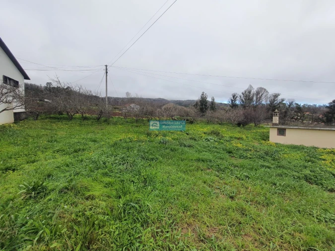 Terreno para Venda em Fajã da Ovelha Foto 3