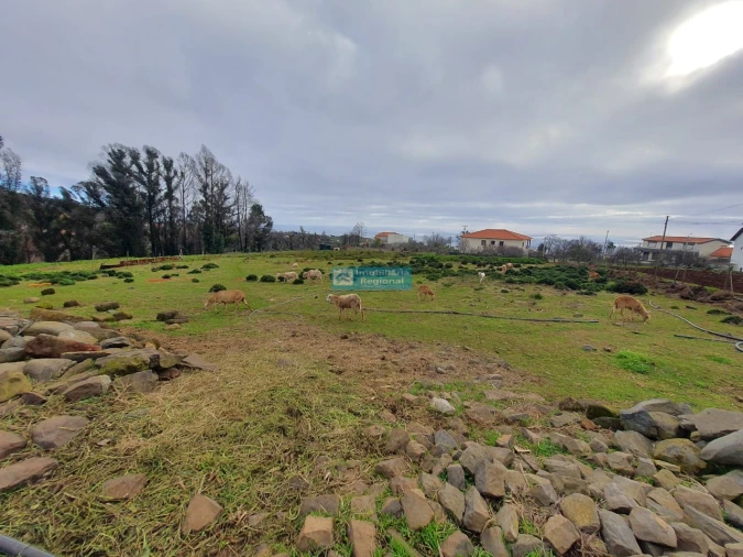 Terreno para Venda em Fajã da Ovelha Foto 6