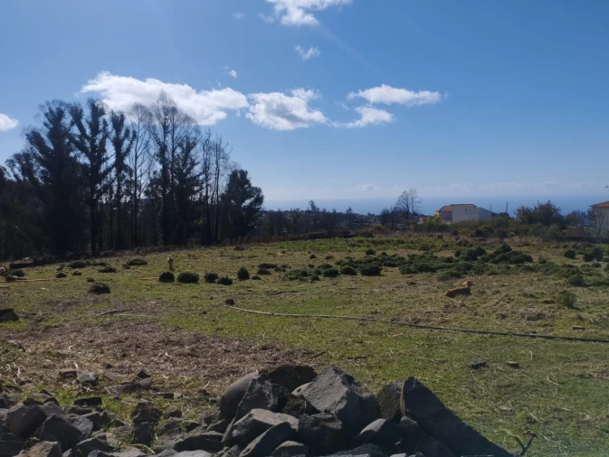 Terreno para Venda em Fajã da Ovelha Foto 9
