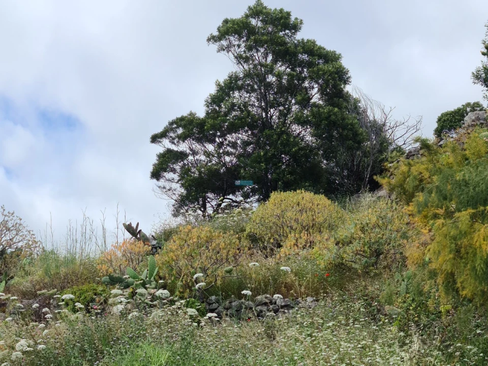 Terreno para Venda em Tabua Foto 8