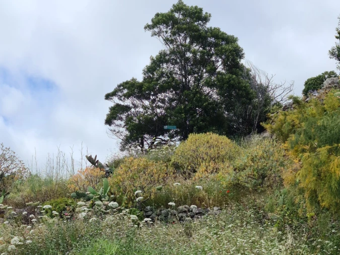 Terreno para Venda em Tabua Foto 8