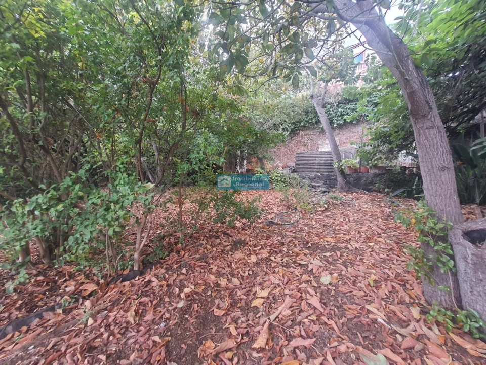 Terreno para Venda em Funchal (Santa Luzia) Foto 5