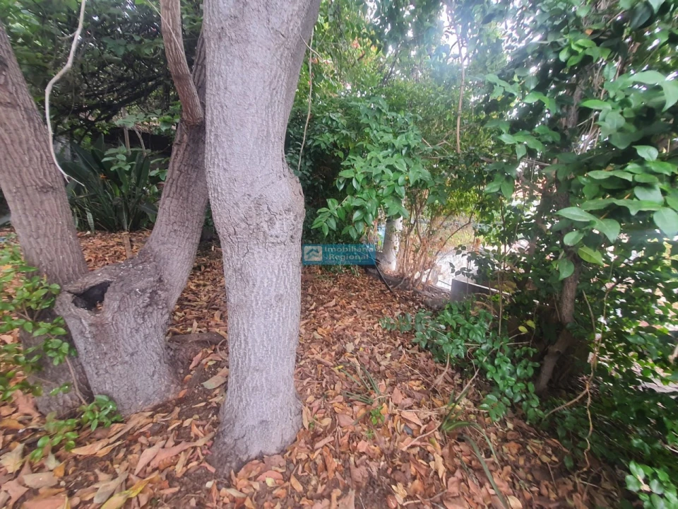 Terreno para Venda em Funchal (Santa Luzia) Foto 6