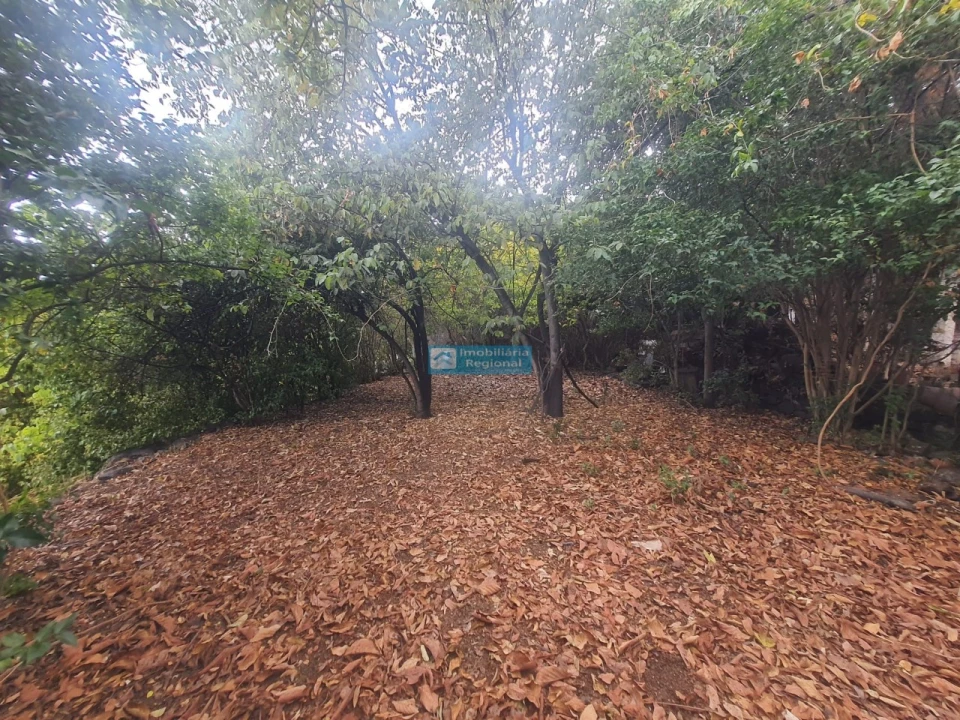 Terreno para Venda em Funchal (Santa Luzia) Foto 7