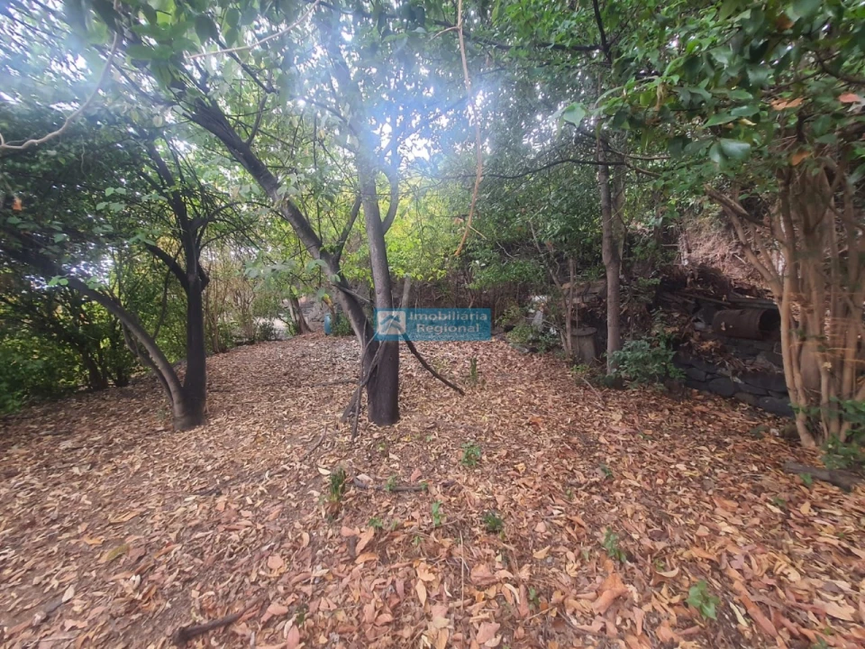 Terreno para Venda em Funchal (Santa Luzia) Foto 9