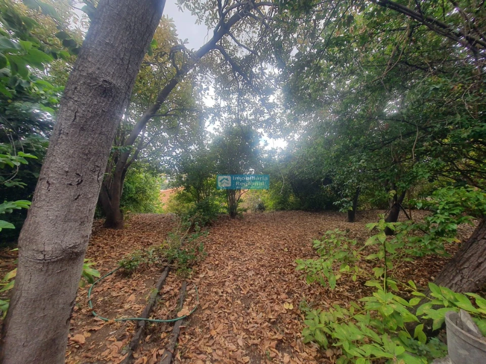 Terreno para Venda em Funchal (Santa Luzia) Foto 3