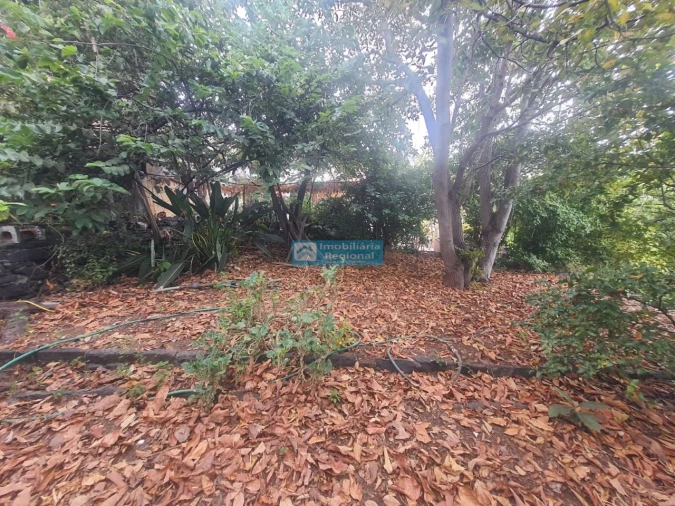 Terreno para Venda em Funchal (Santa Luzia) Foto 4