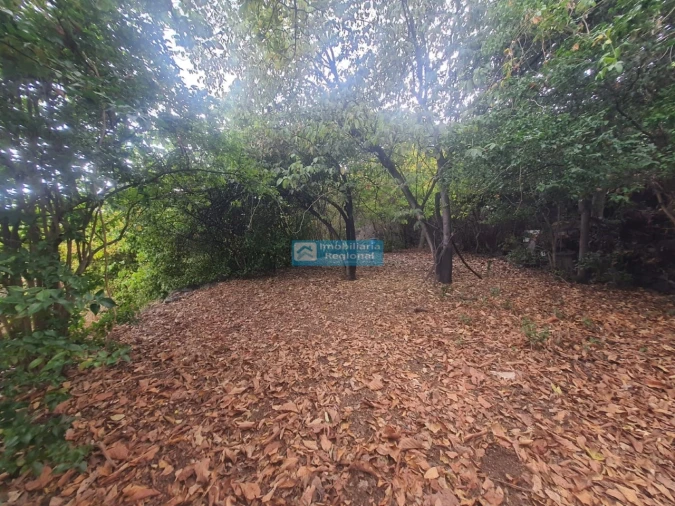 Terreno para Venda em Funchal (Santa Luzia) Foto 8