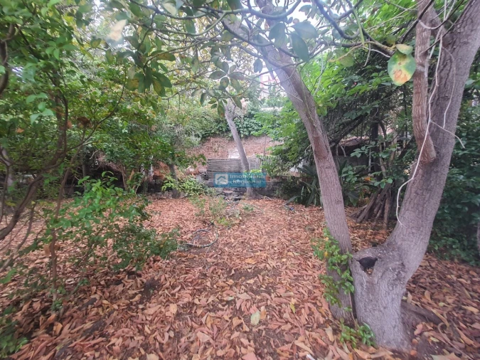 Terreno para Venda em Funchal (Santa Luzia) Foto 10