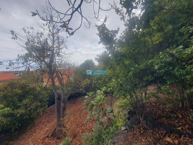Terreno para Venda em Funchal (Santa Luzia) Foto 12