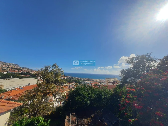 Terreno para Venda em Funchal (Santa Luzia) Foto 13