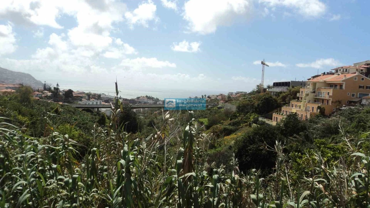 Terreno para Venda em Santo Antonio Foto 2