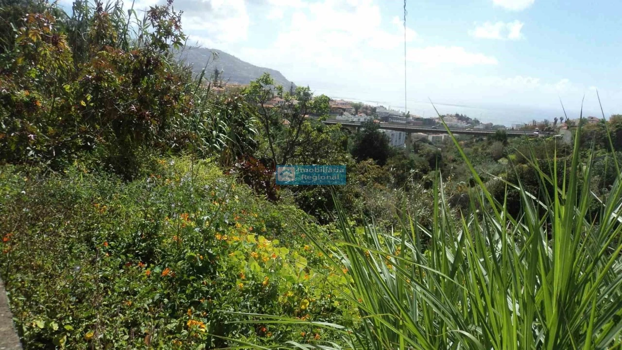 Terreno para Venda em Santo Antonio Foto 6
