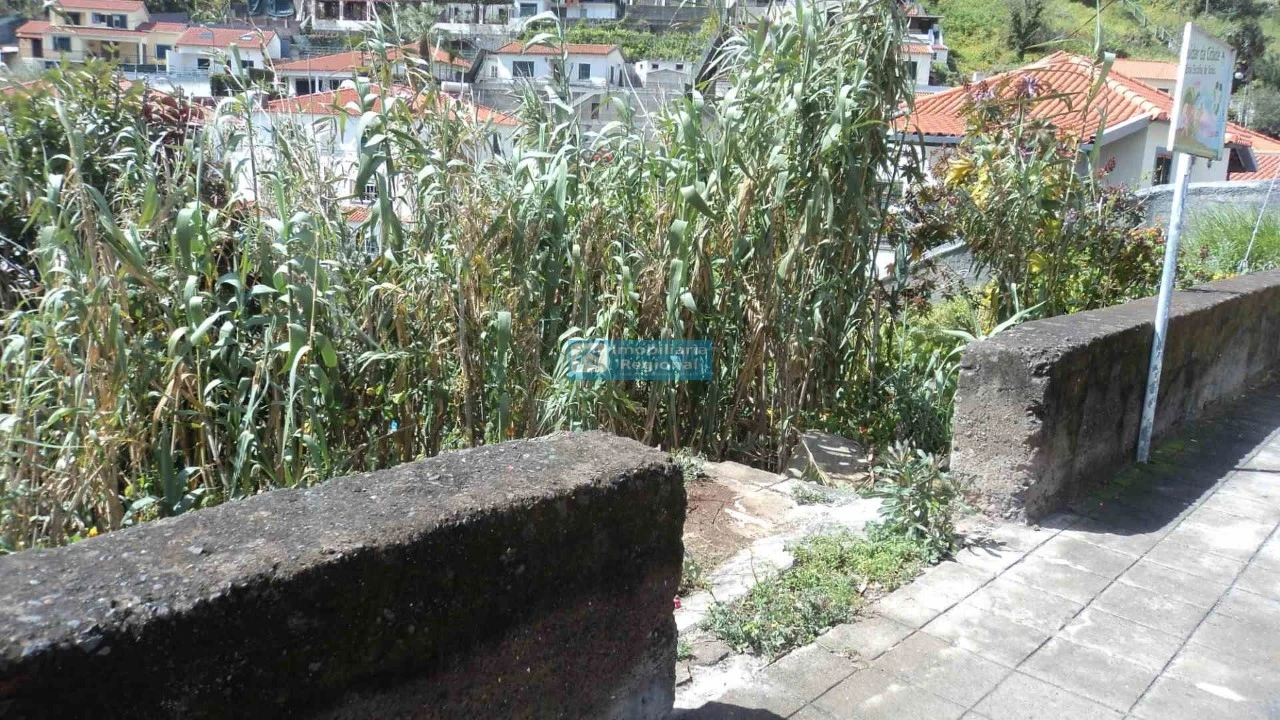 Terreno para Venda em Santo Antonio Foto 8