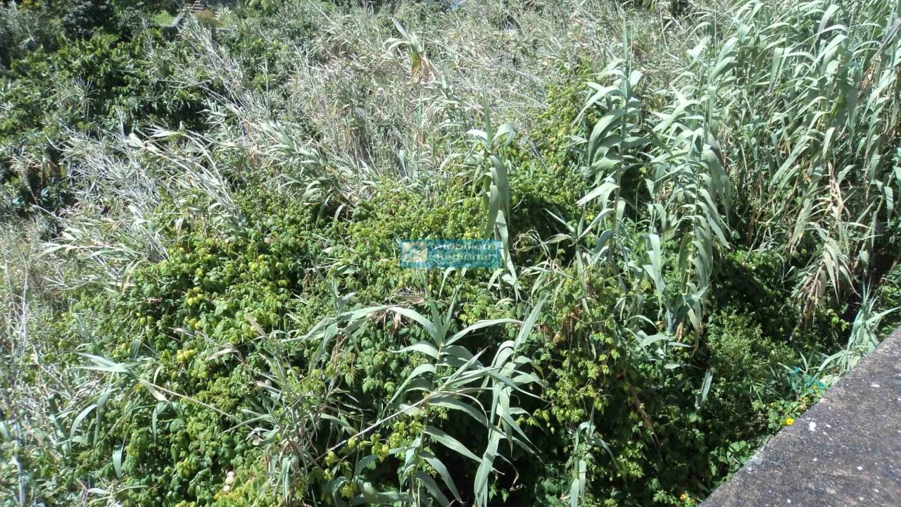 Terreno para Venda em Santo Antonio Foto 9