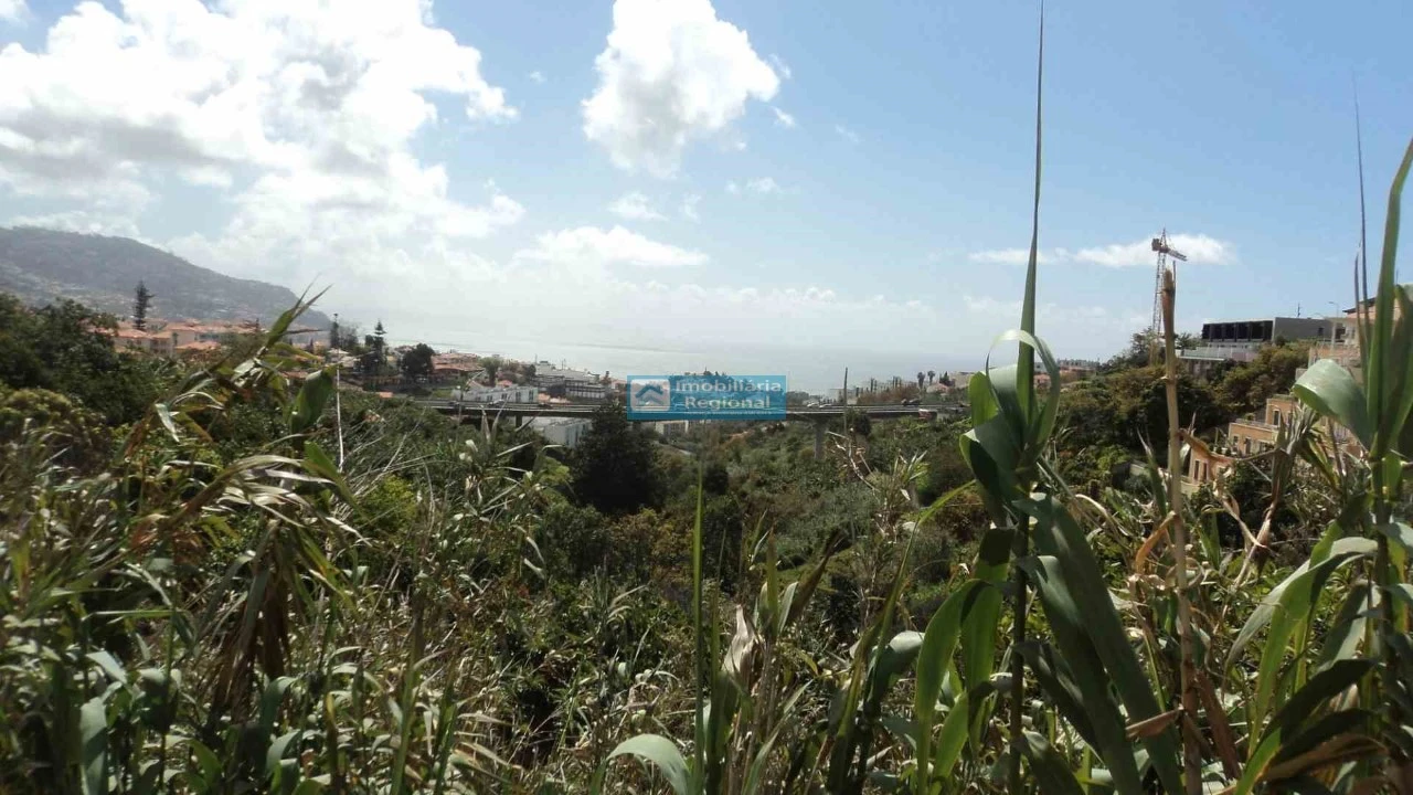 Terreno para Venda em Santo Antonio Foto 11