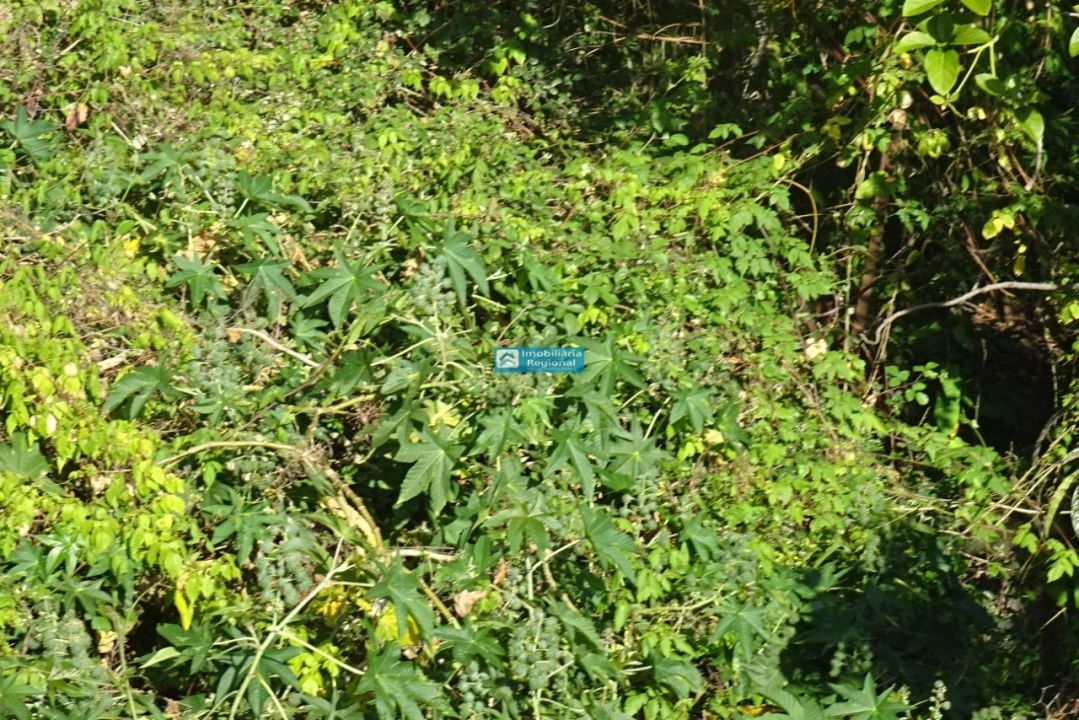 Terreno para Venda em Santo Antonio Foto 5